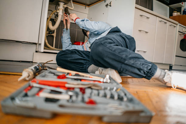Best Plumbing Repair Near Me  in Westville, IN
