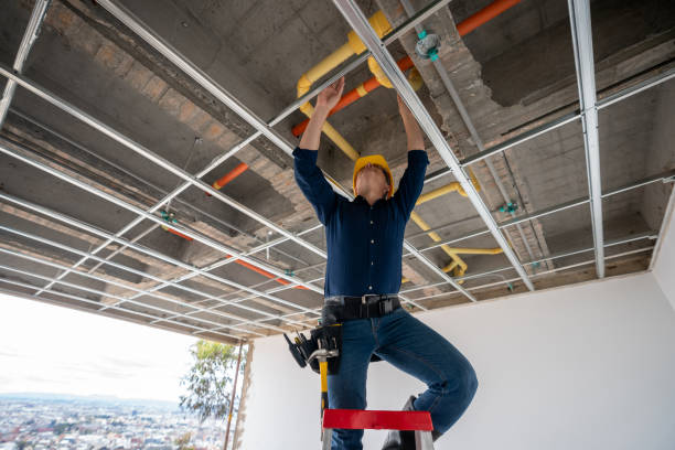 Best Emergency Plumber  in Westville, IN