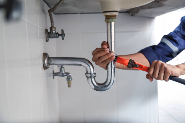 Best Drain Cleaning Services  in Westville, IN